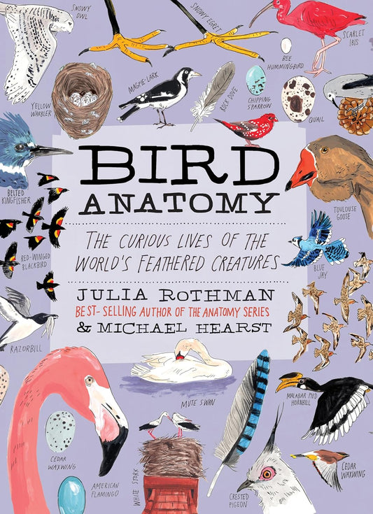 Bird Anatomy: The Curious Lives of the World's Feathered Creatures