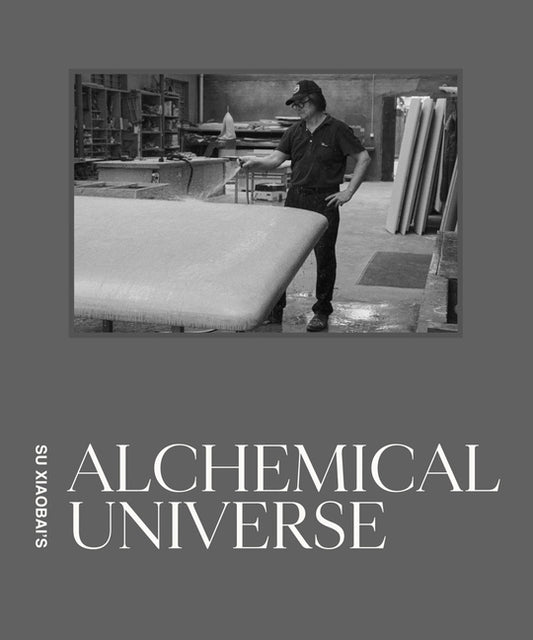 Su Xiaobai's Alchemical Universe