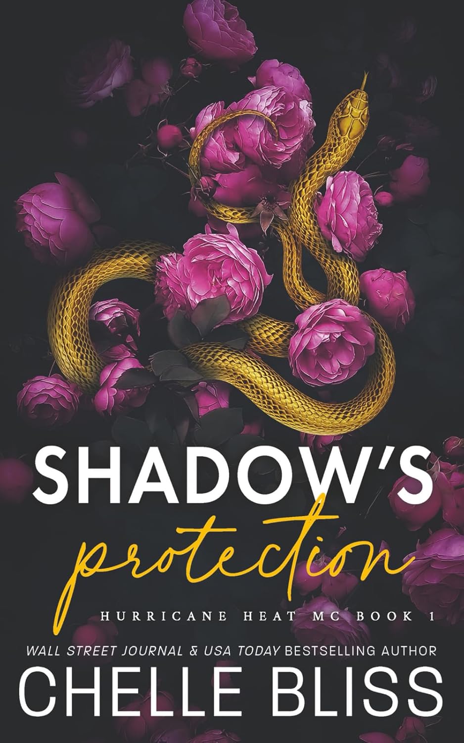 Shadow's Protection: Discreet Edition