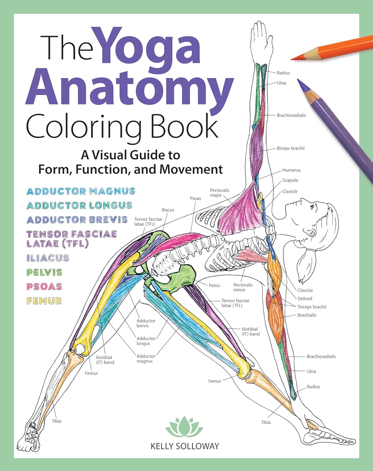 Yoga Anatomy Coloring Book: A Visual Guide to Form, Function, and Movement - An Educational Anatomy Coloring Book for Medical Students, Yoga Teach