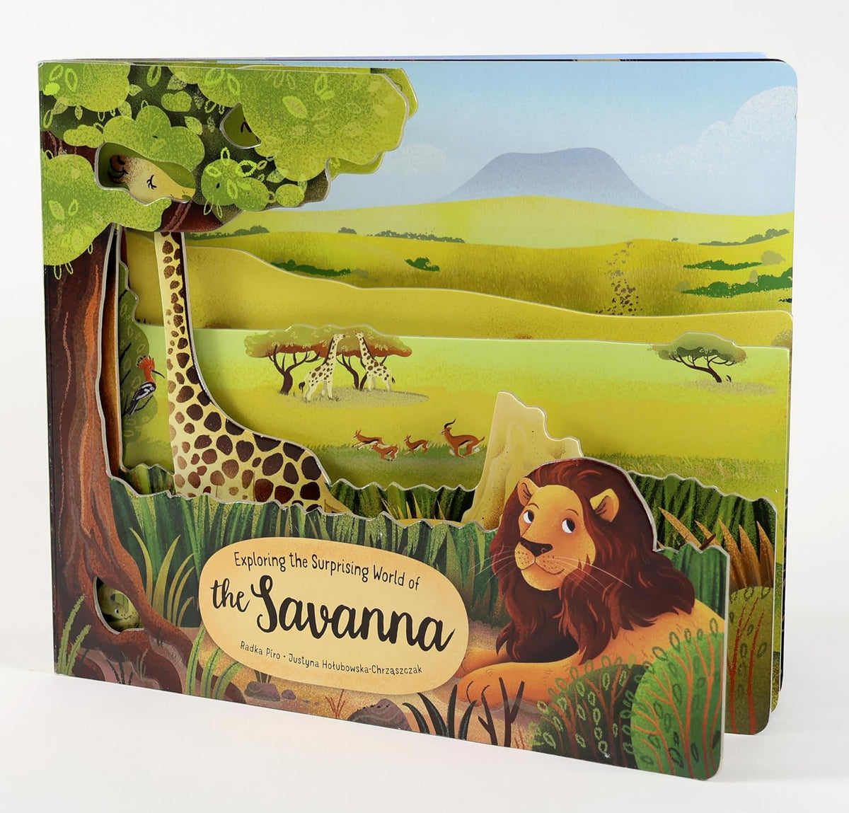Exploring the Surprising World of the Savanna