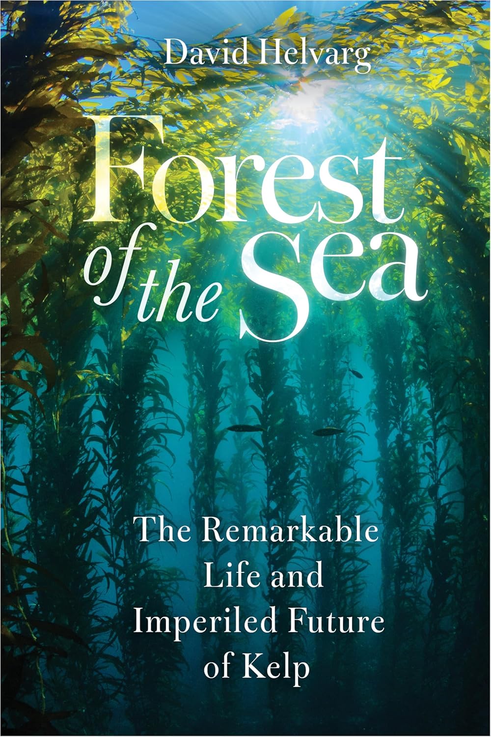 Forest of the Sea: The Remarkable Life and Imperiled Future of Kelp