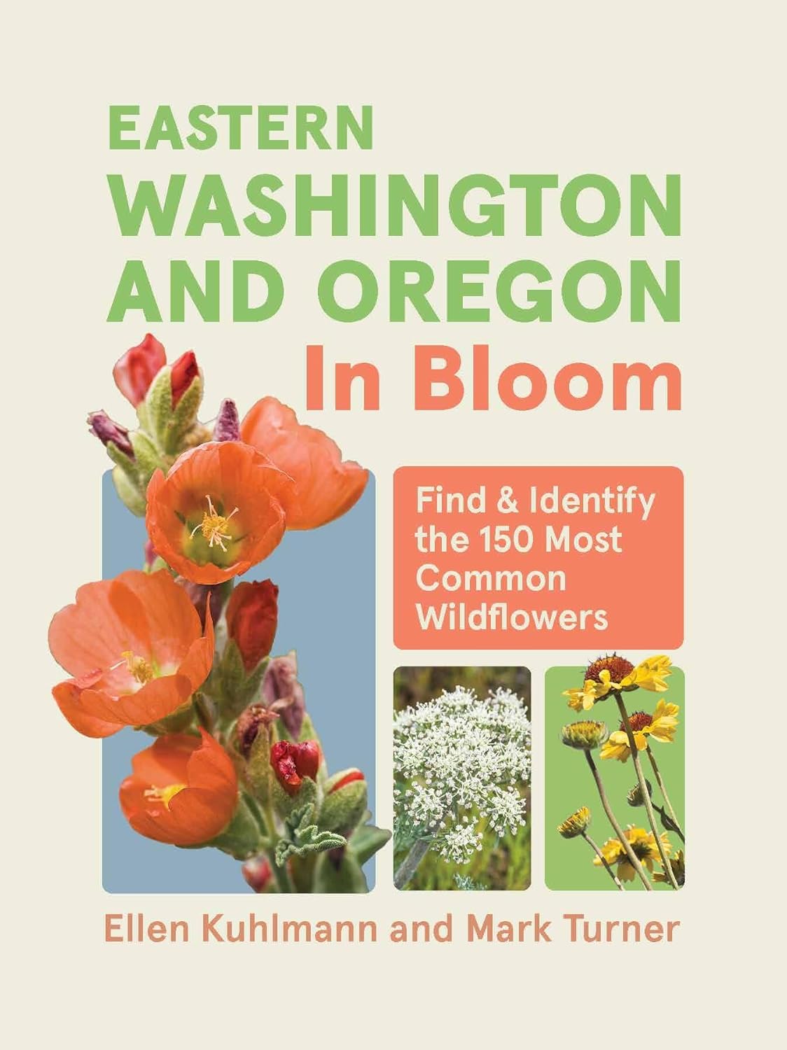 Eastern Washington and Oregon in Bloom: Find and Identify the 150 Most Common Wildflowers