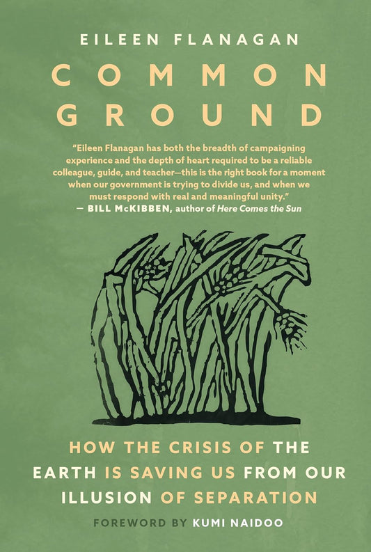 Common Ground: How the Crisis of the Earth Is Saving Us from Our Illusion of Separation