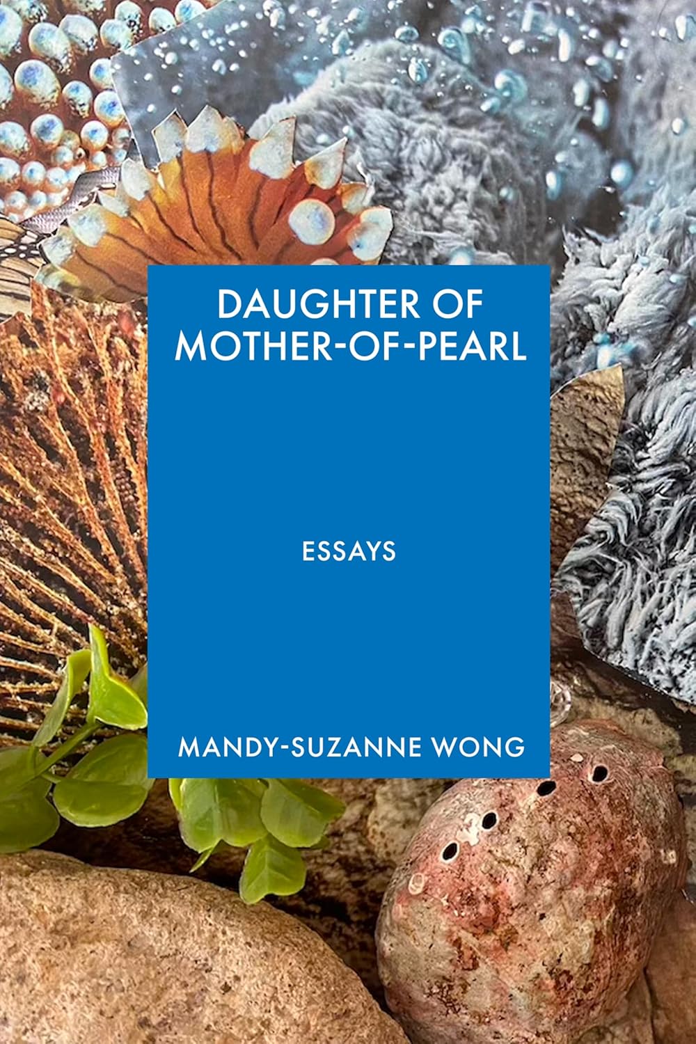 Daughter of Mother-Of-Pearl
