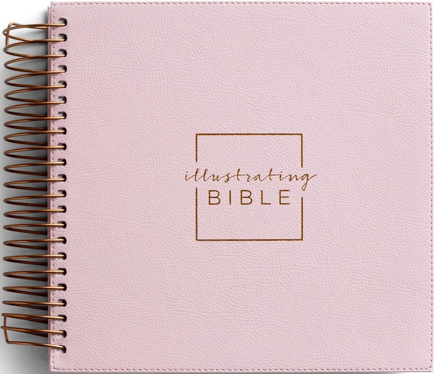 Illustrating Bible NIV Pink