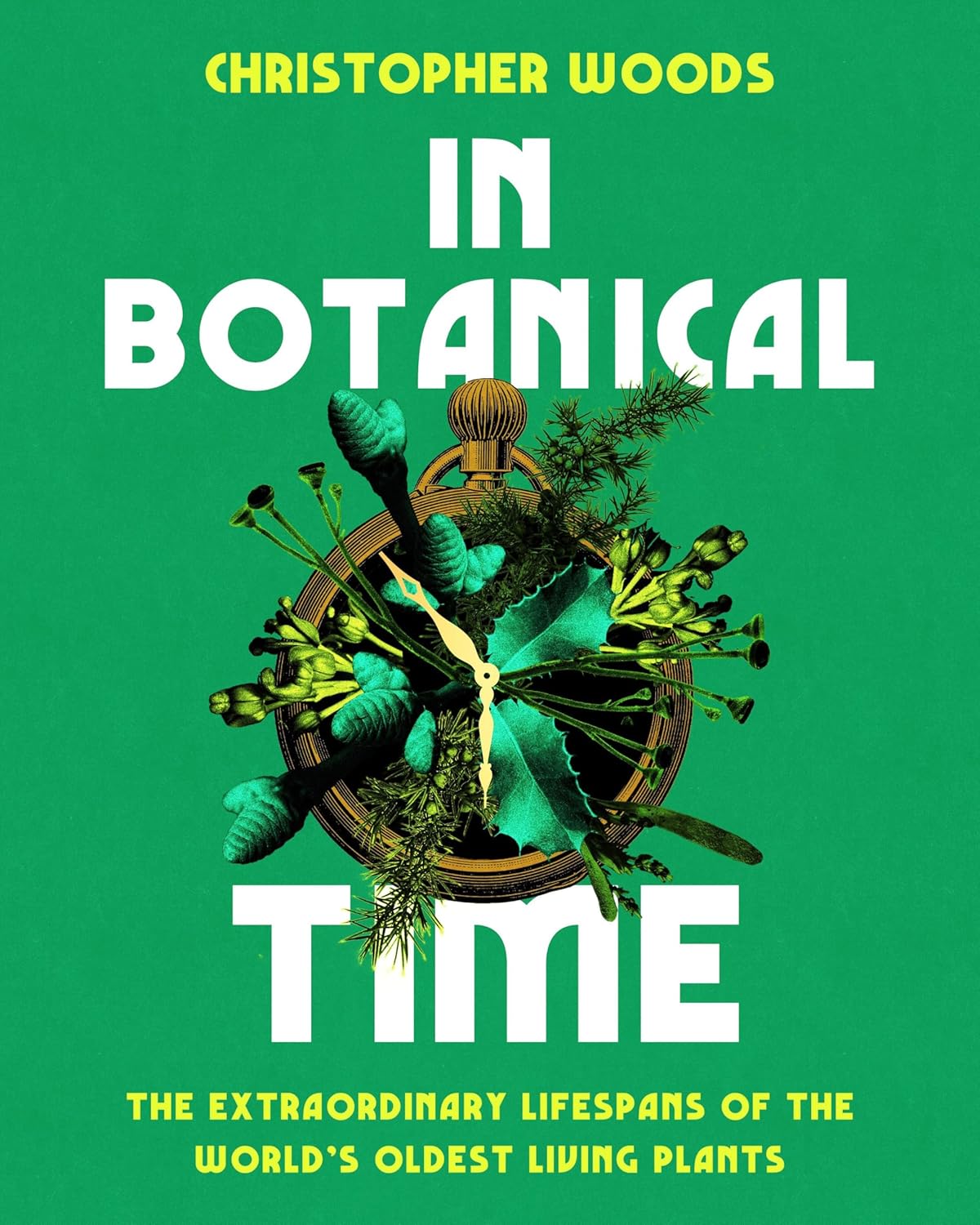 In Botanical Time: The Extraordinary Lifespans of the World's Oldest Living Plants