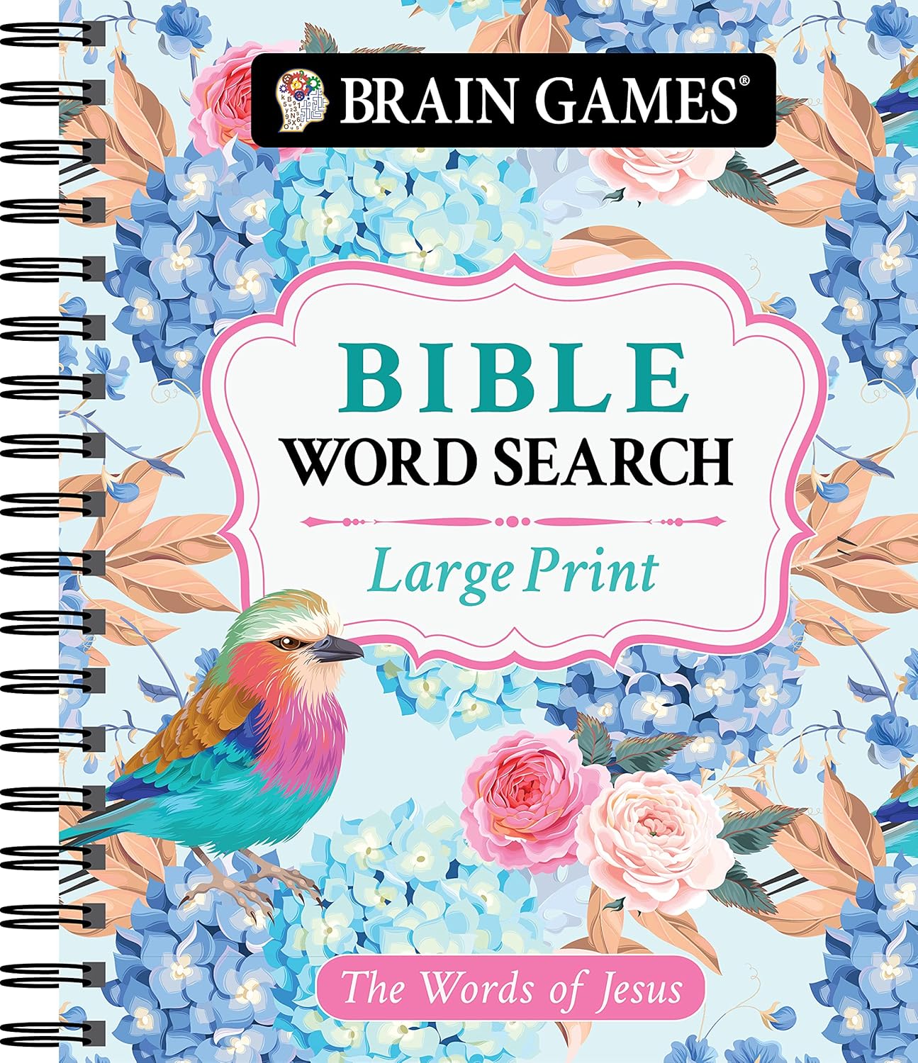 Brain Games - Large Print Bible Word Search: The Words of Jesus