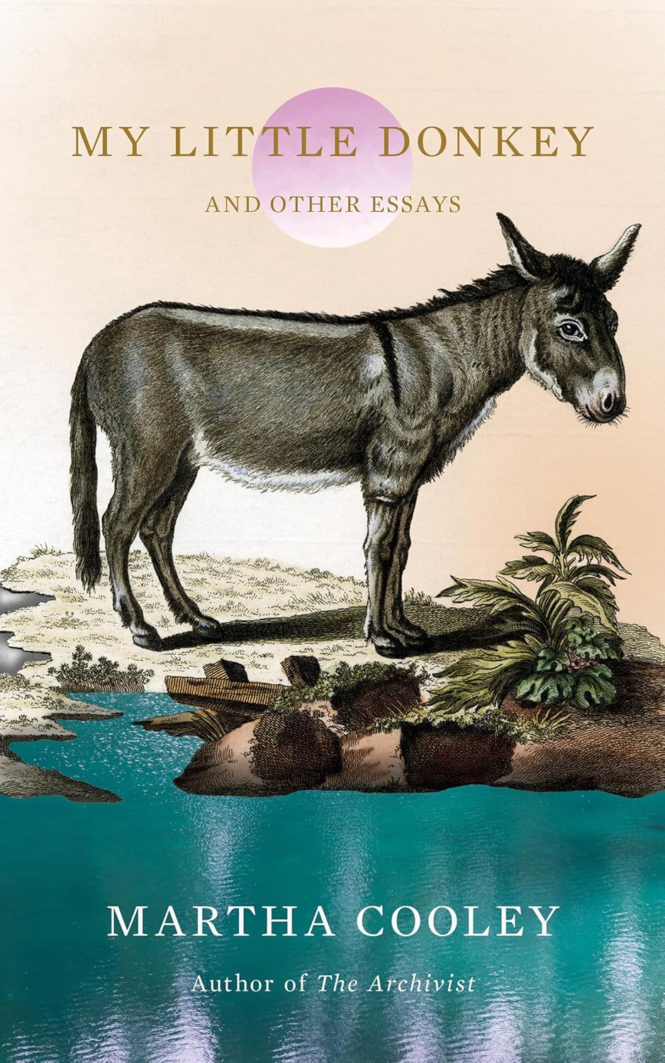 My Little Donkey: And Other Essays