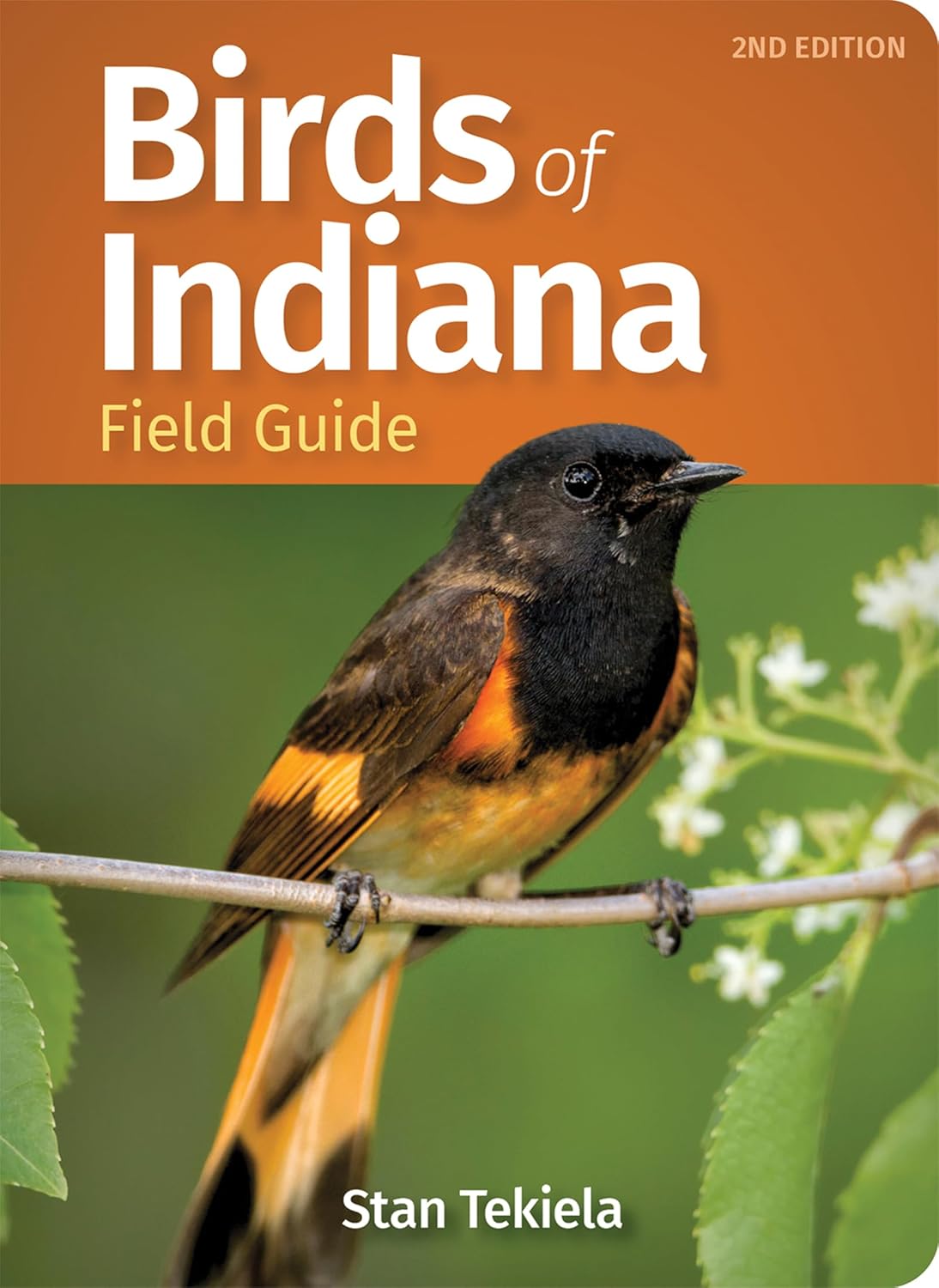 Birds of Indiana Field Guide (Revised)