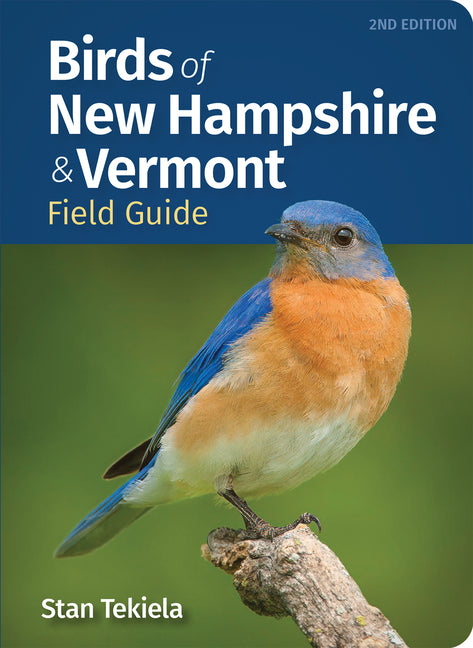 Birds of New Hampshire & Vermont Field Guide (Revised)