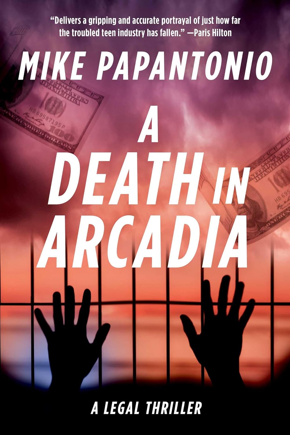 A Death in Arcadia: A Legal Thriller