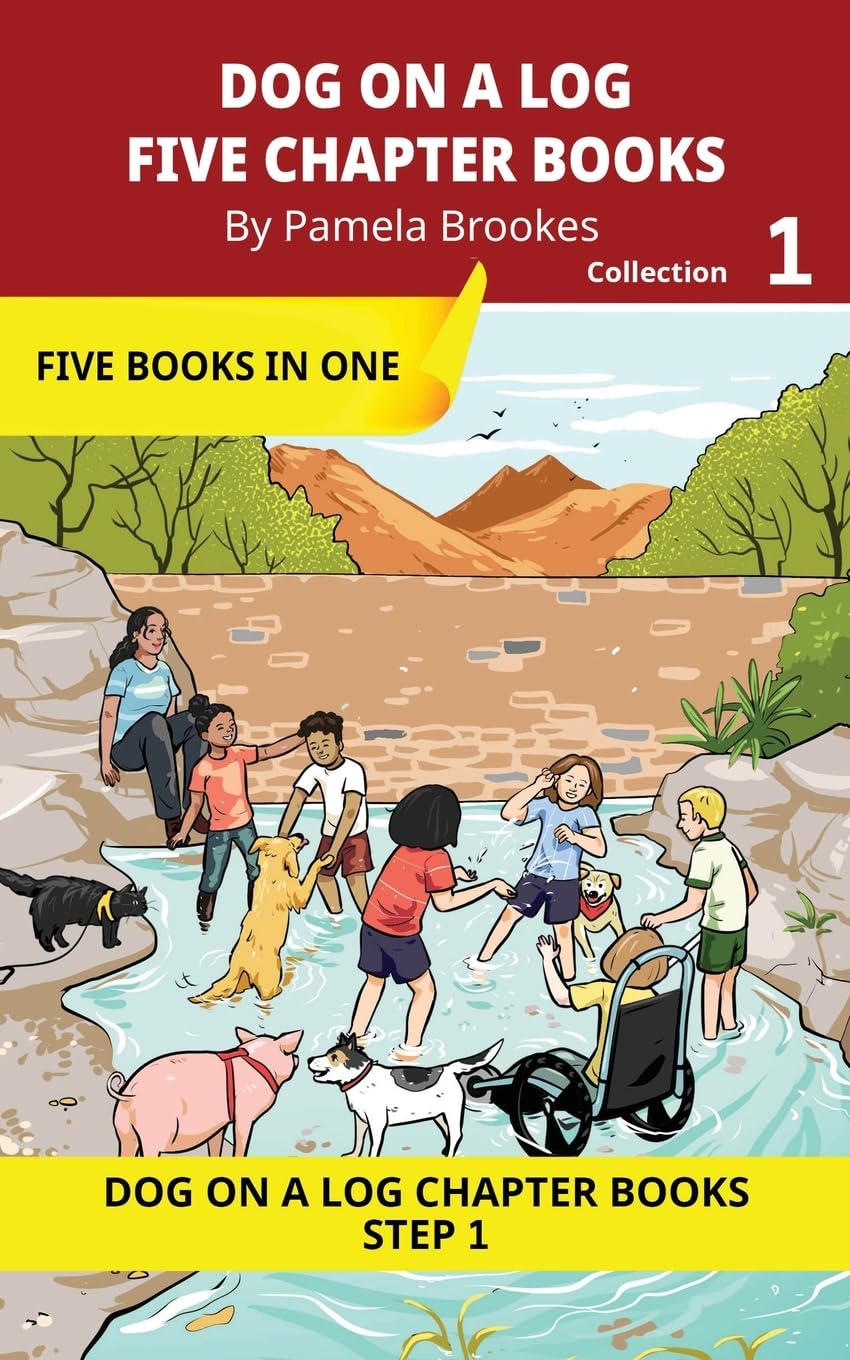 Five Chapter Books 1: Decodable Series for Students Learning to Read. For Beginning Readers and Students with Dyslexia. (Step 1-All Letters plus Conso