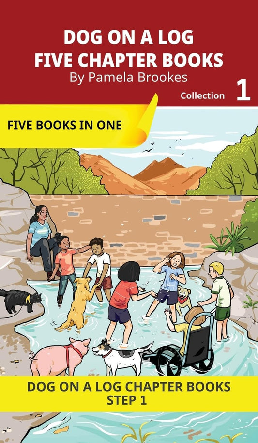 Five Chapter Books 1: Decodable Series for Students Learning to Read. For Beginning Readers and Students with Dyslexia. (Step 1-All Letters plus Conso
