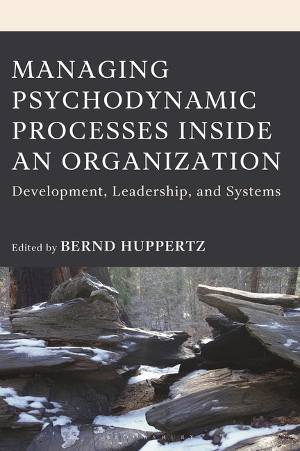 Managing Psychodynamic Processes Inside an Organization: Development, Leadership, and Systems