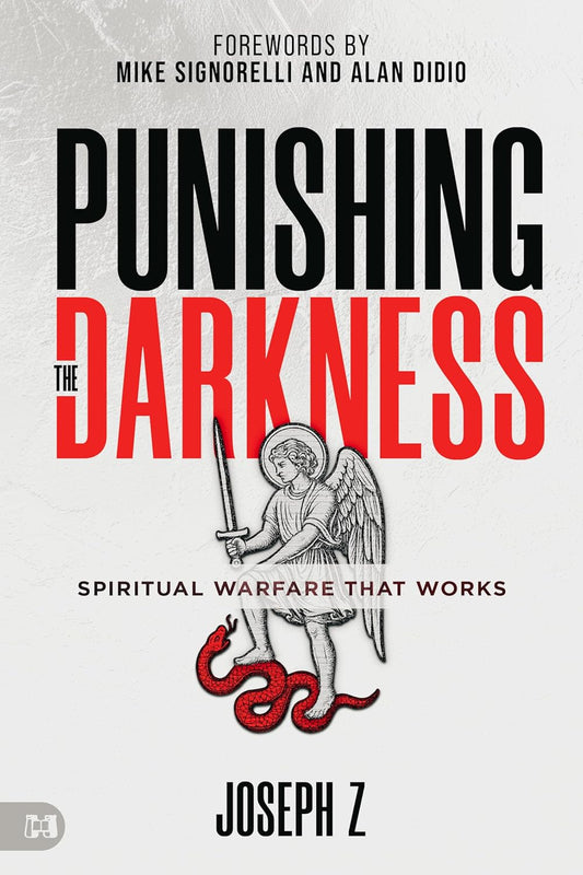 Punishing the Darkness: Spiritual Warfare That Works