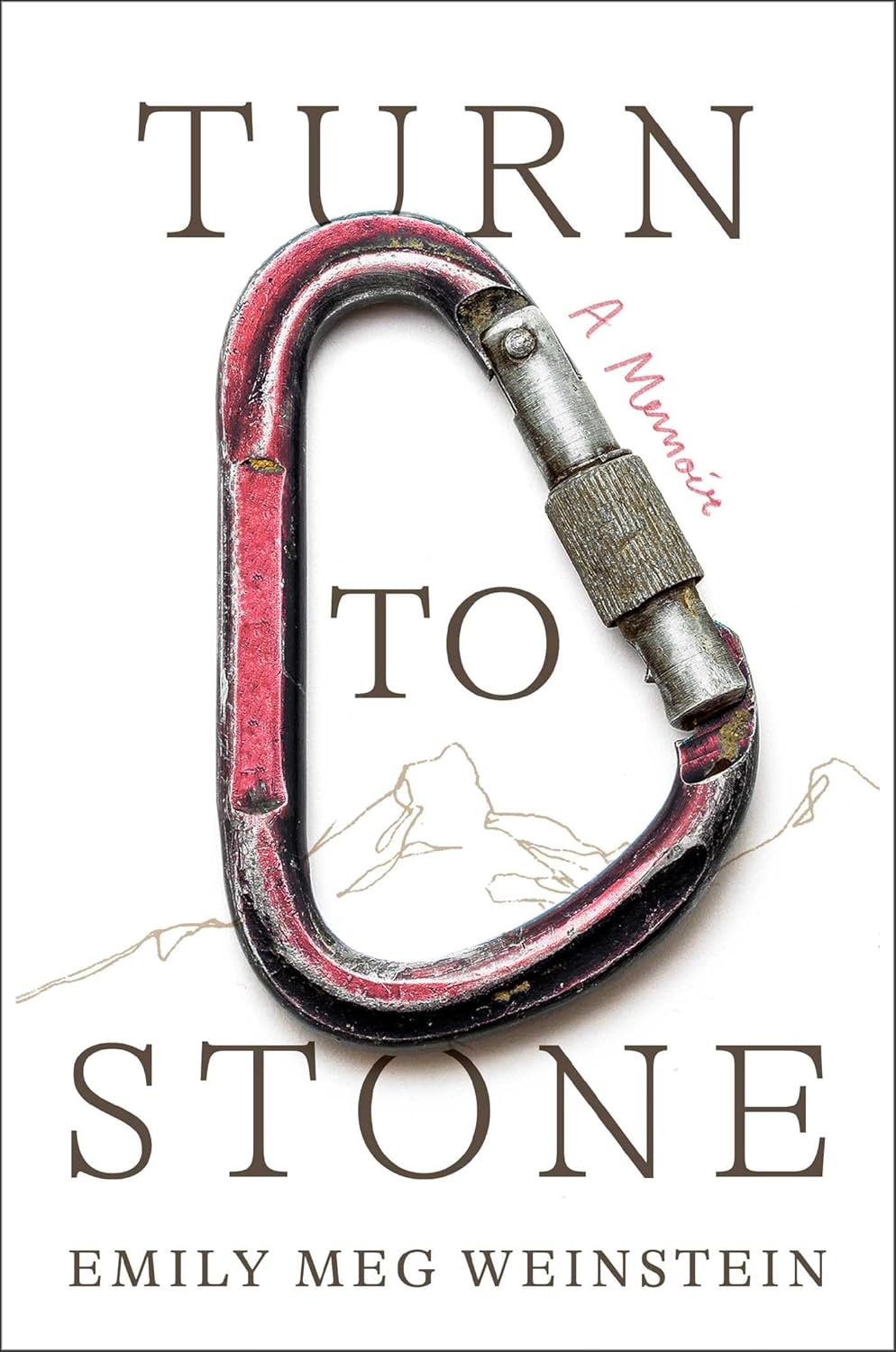Turn to Stone: A Memoir