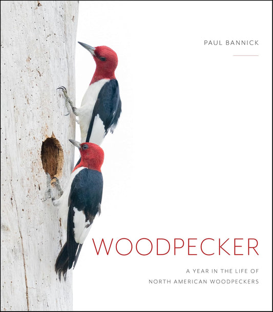 Woodpecker: A Year in the Life of North American Woodpeckers