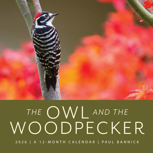 Owl & the Woodpecker 2026: 12-Month Wall Calendar