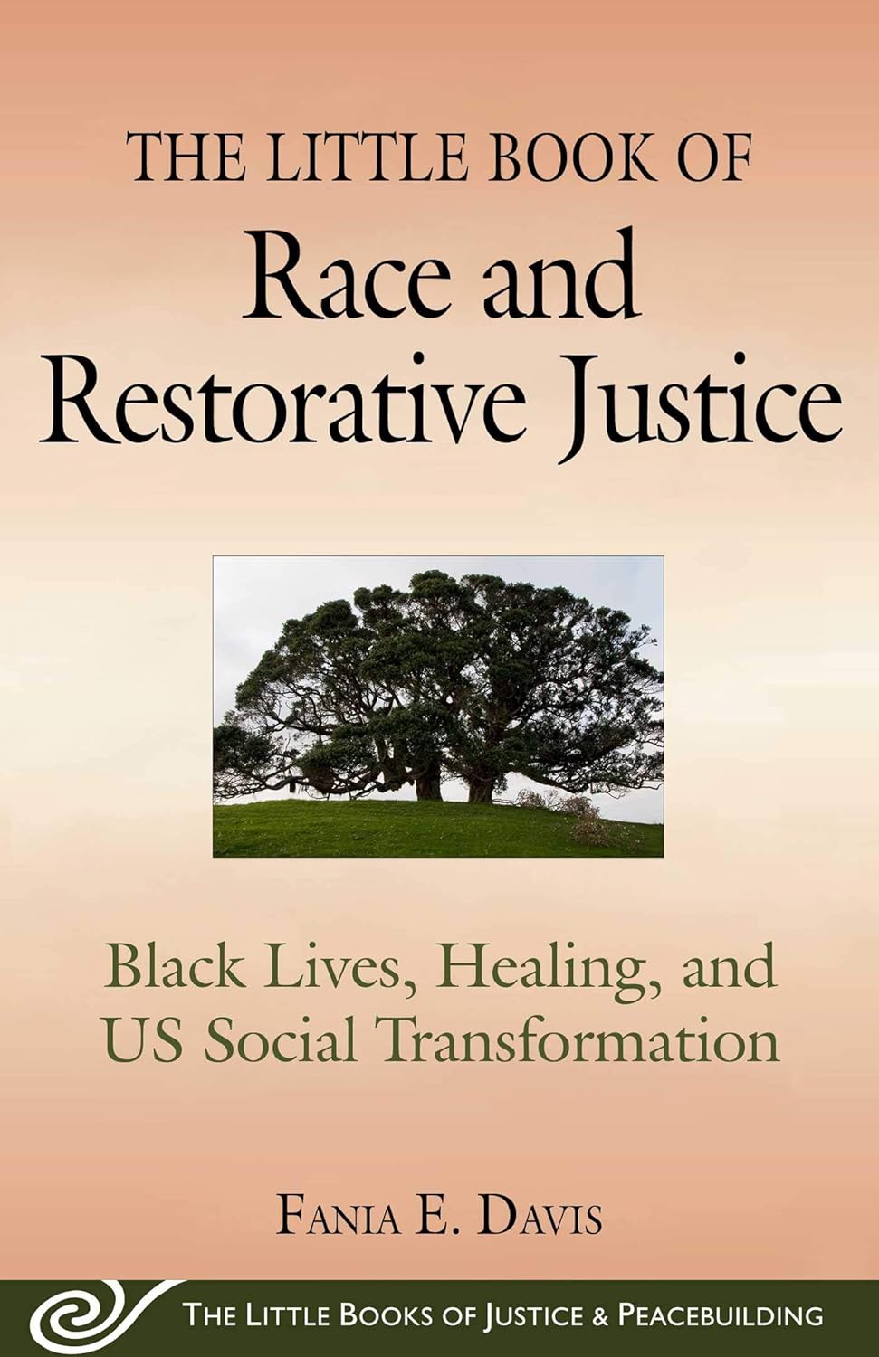 The Little Book of Race and Restorative Justice: Black Lives, Healing, and Us Social Transformation