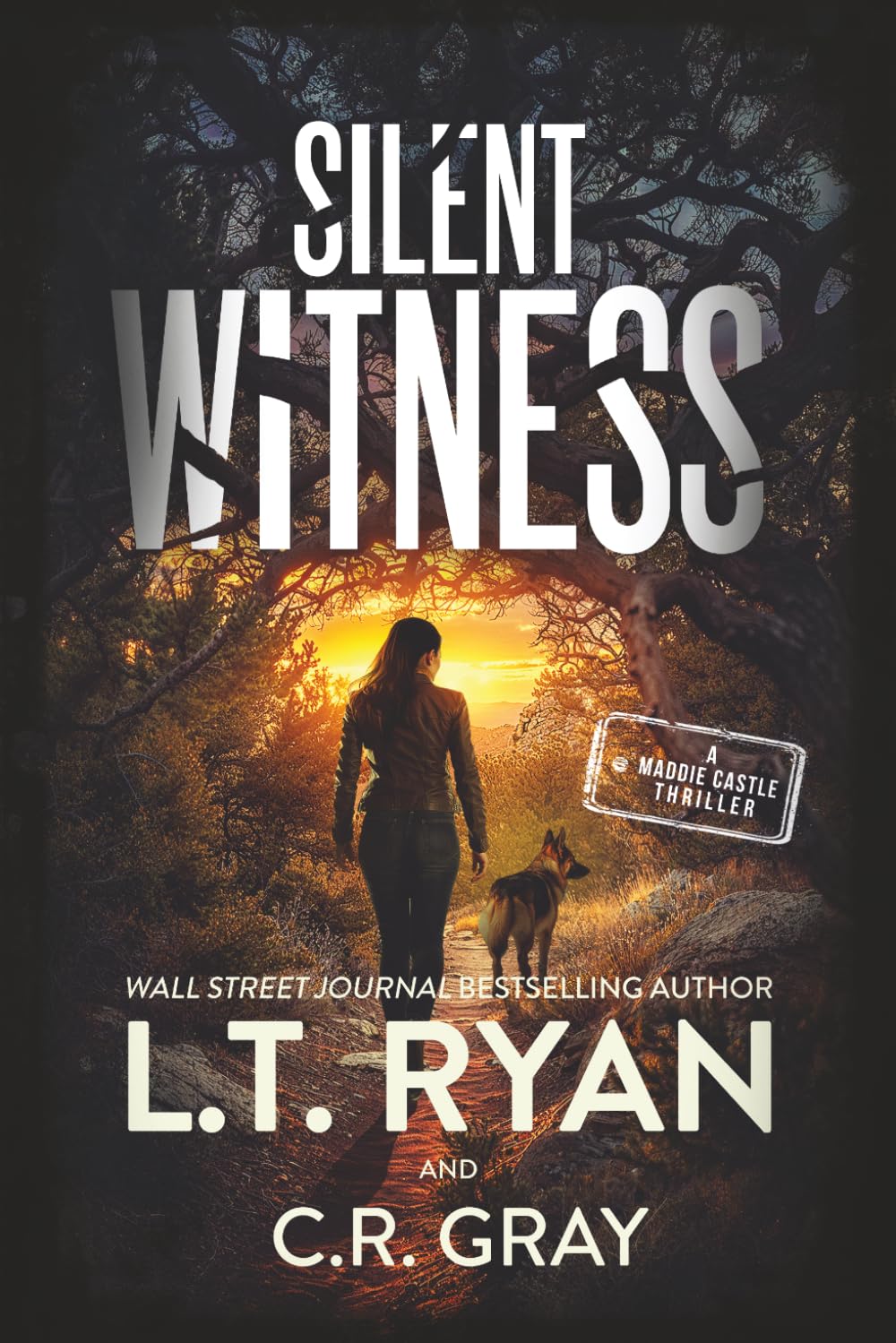 Silent Witness