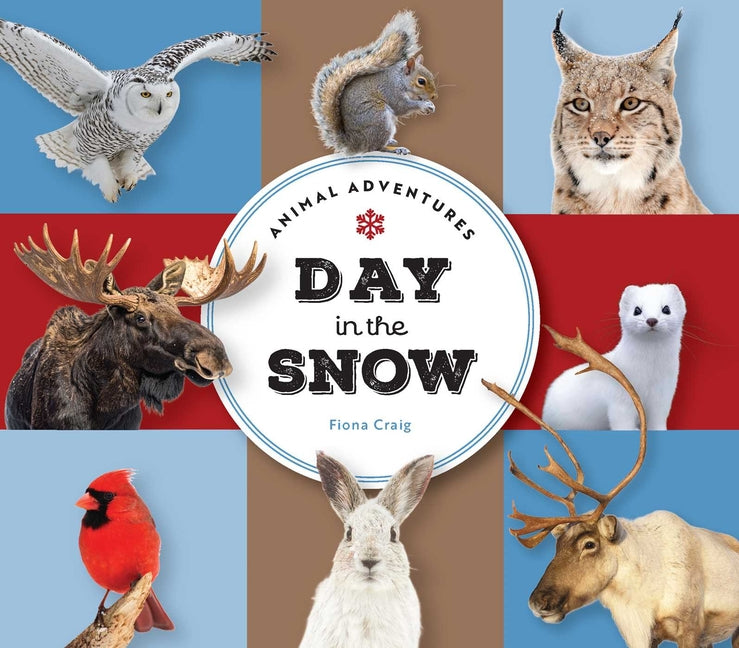 Animal Adventures: Day in the Snow