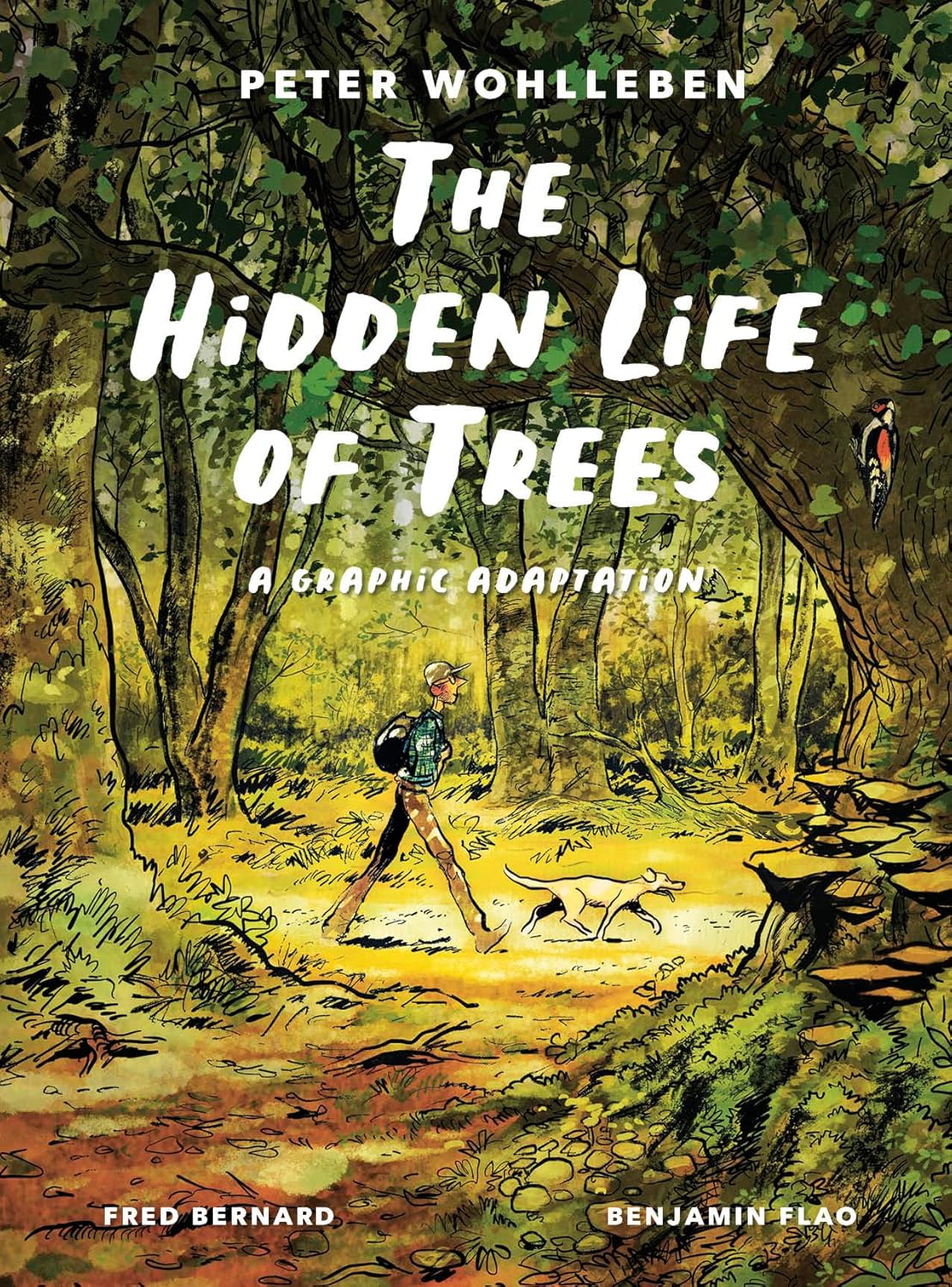 Hidden Life of Trees: A Graphic Adaptation: (Of the International Bestseller)