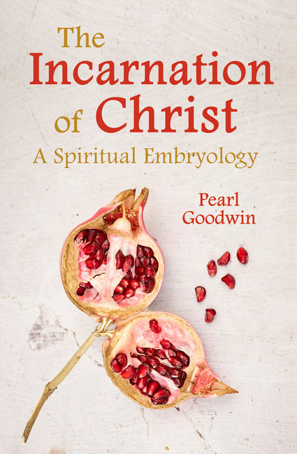 The Incarnation of Christ: A Spiritual Embryology