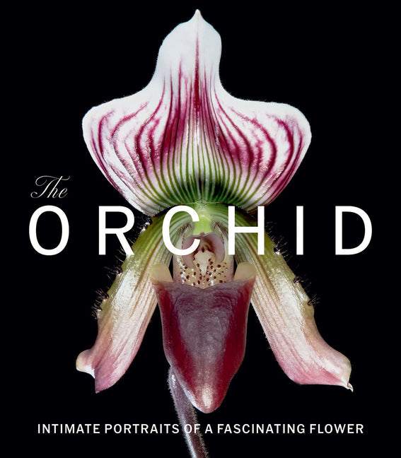 The Orchid: Intimate Portraits of a Fascinating Flower