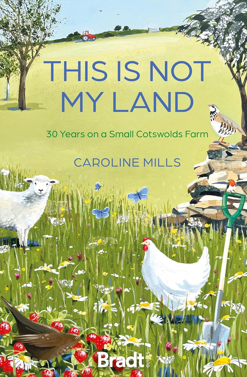 This Is Not My Land: 30 Years on a Small Cotswolds Farm