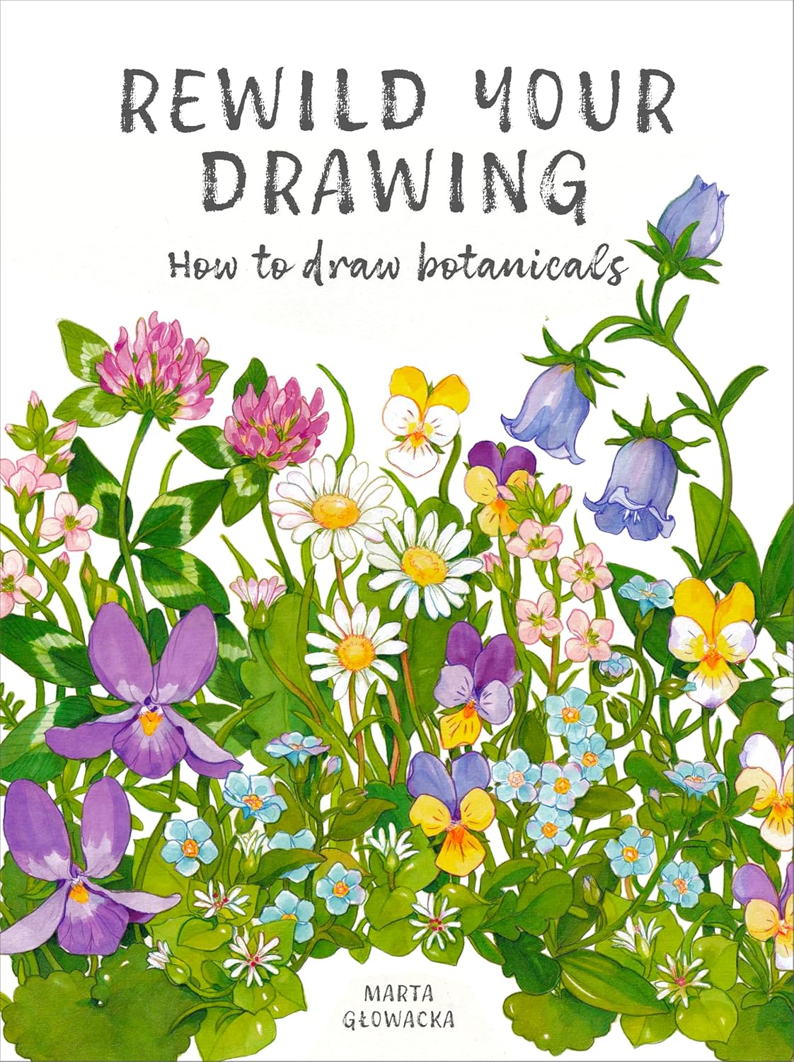 Rewild Your Drawing: How to Draw Botanicals