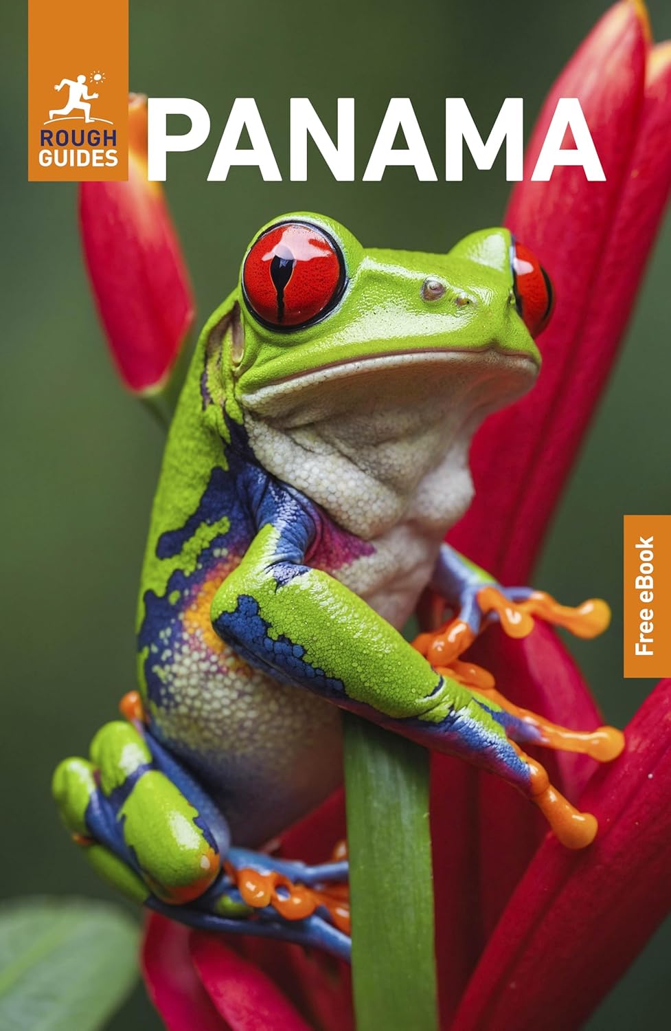 Rough Guides Panama: Travel Guide with eBook