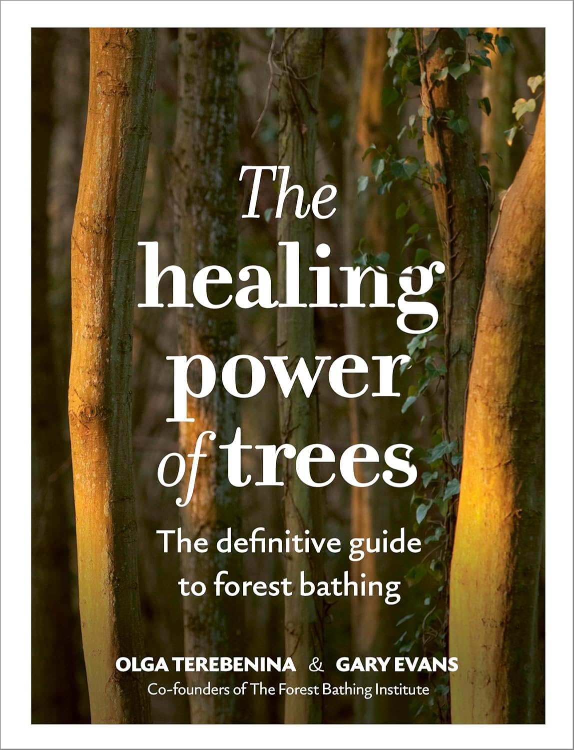 The Healing Power of Trees: The Definitive Guide to Forest Bathing