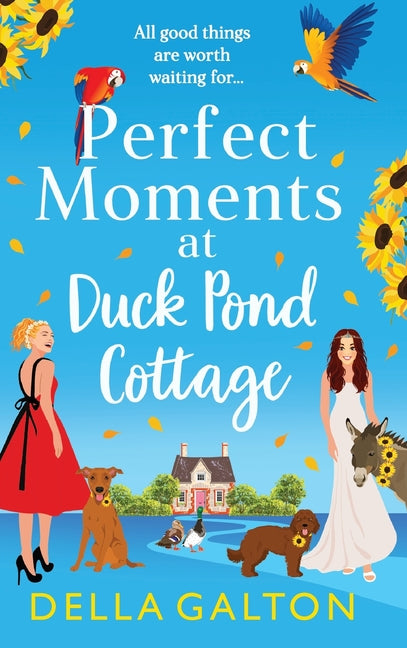 Perfect Moments at Duck Pond Cottage