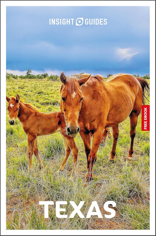 Insight Guides Texas: Travel Guide with eBook