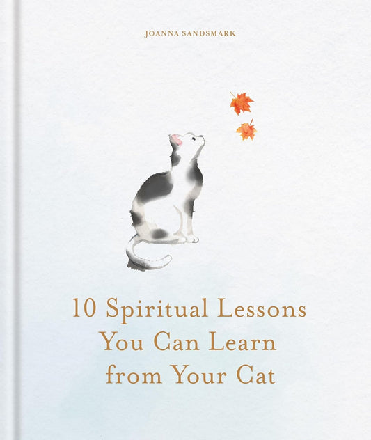 10 Spiritual Lessons You Can Learn from Your Cat: Essential Life Lessons We Can Learn from Our Furry Friend