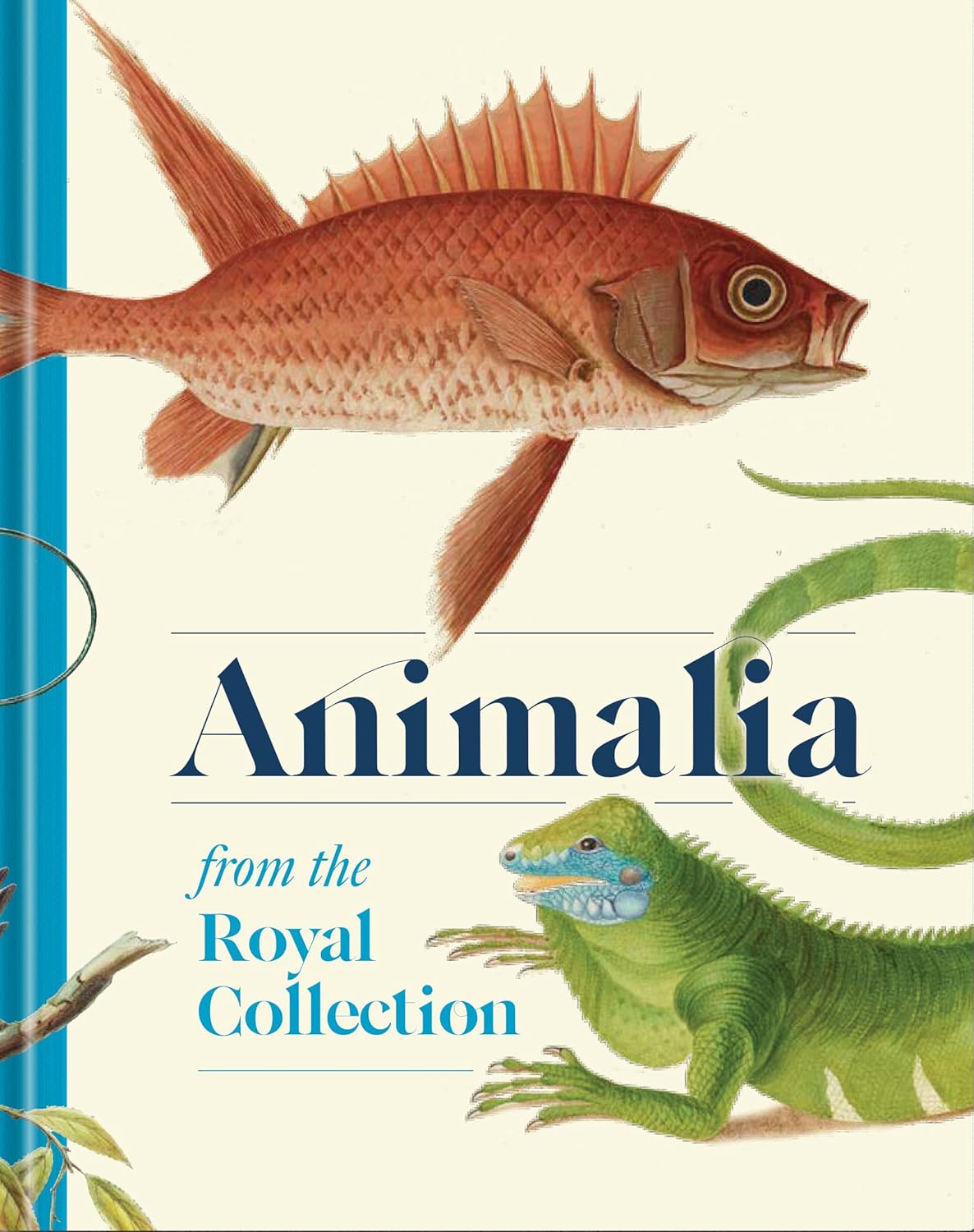 Animalia: Animal Art from the Royal Collection