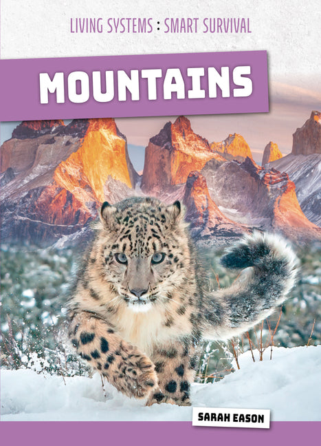 Mountains