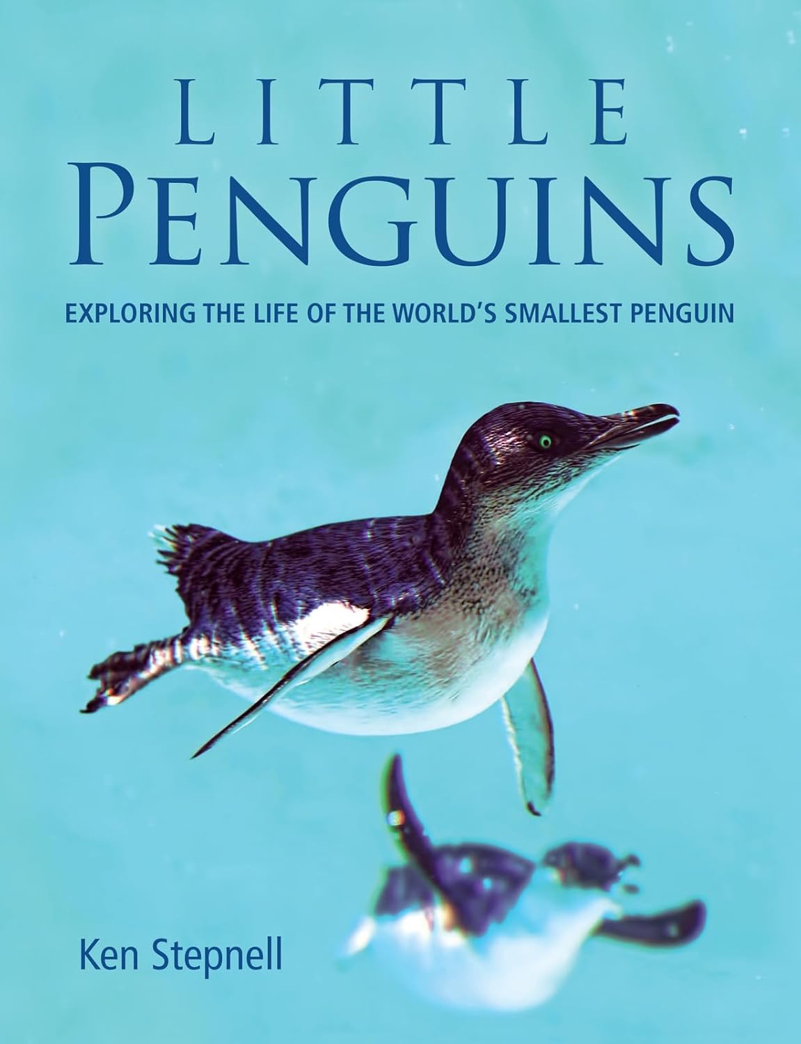 Little Penguins: Exploring the Life of the World's Smallest Penguin