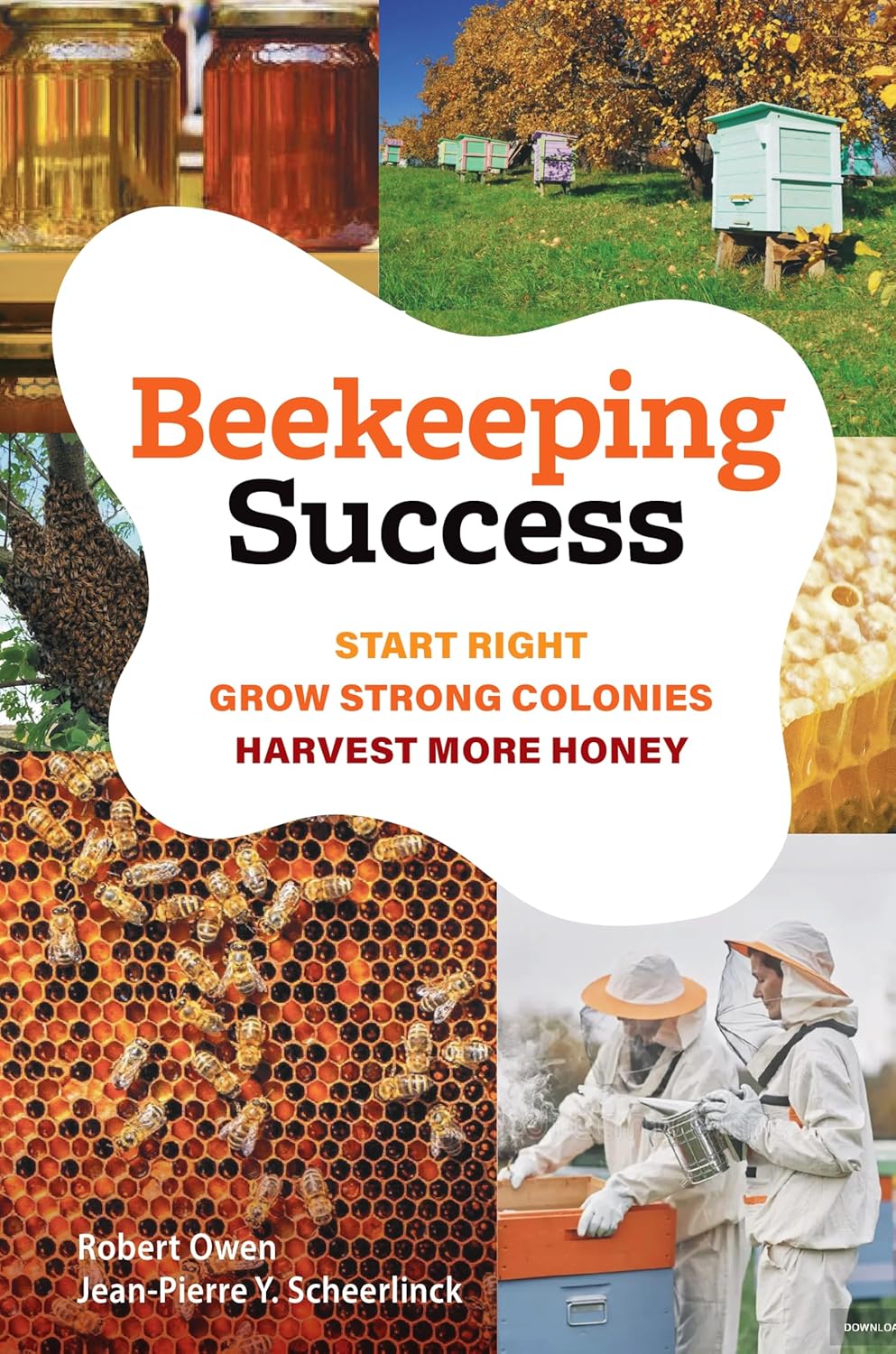 Beekeeping Success: Start Right, Grow Strong Colonies, Harvest More Honey
