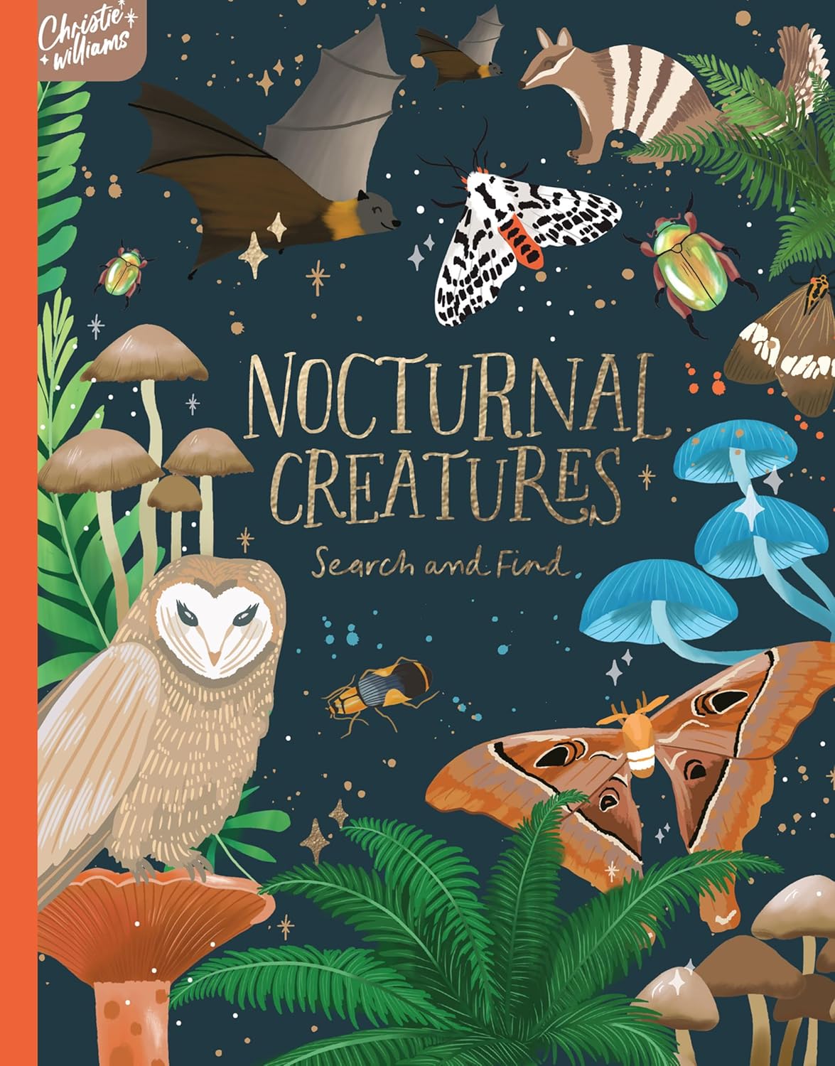 Nocturnal Creatures Search and Find: Search and Find Book