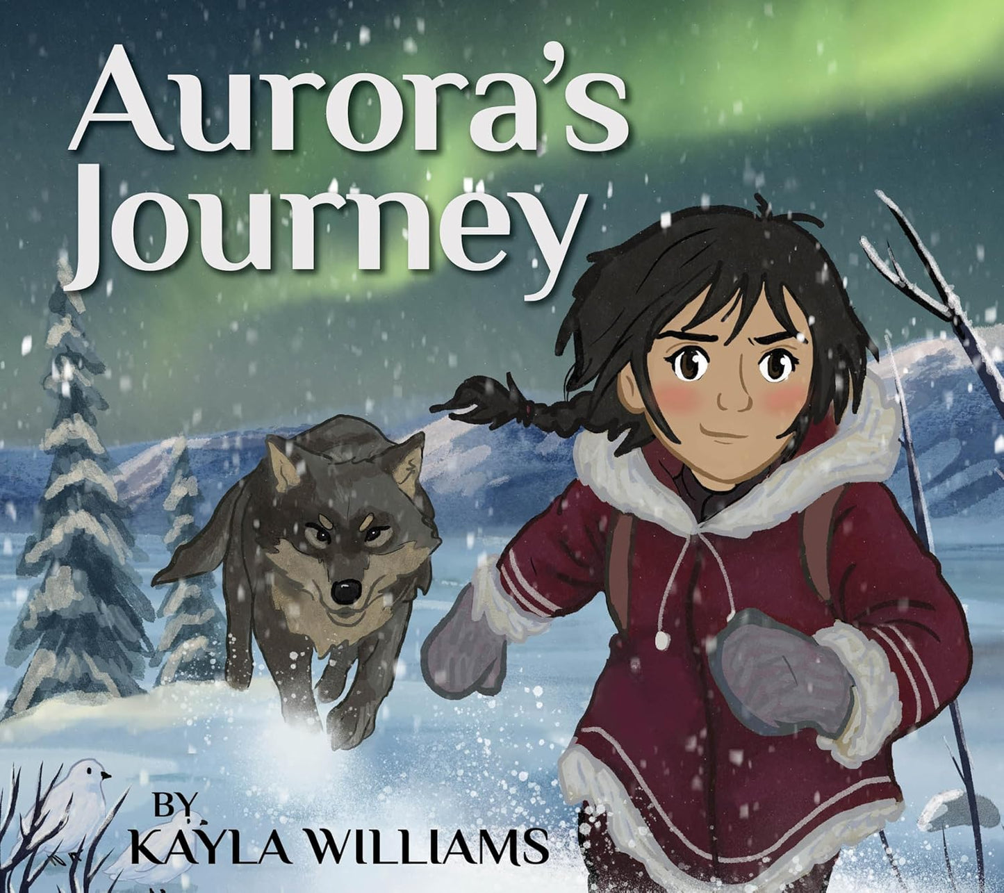 Aurora's Journey