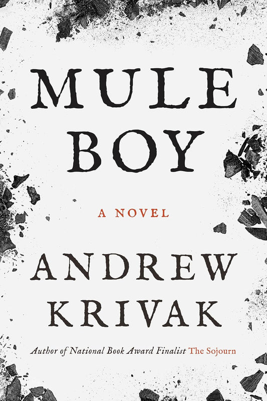 Mule Boy