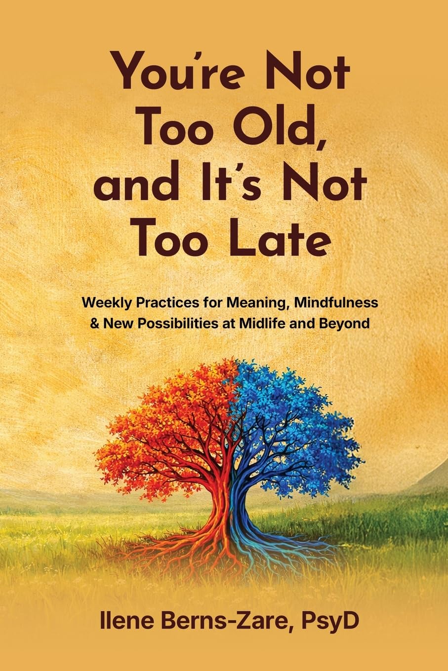You're Not Too Old, and It's Not Too Late: Weekly Practices of Meaning, Mindfulness, and New Possibilities at Midlife and Beyond