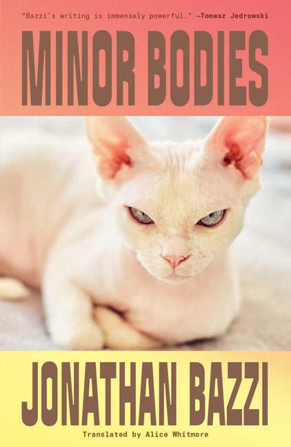 Minor Bodies