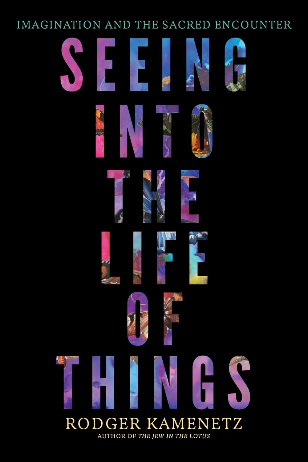 Seeing Into the Life of Things: Imagination and the Sacred Encounter