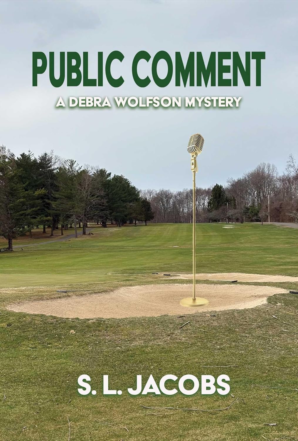 Public Comment: A Debra Wolfson Mystery (Not for Online)