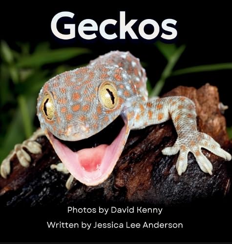 Geckos: Get to Know More About These Vocal Lizards!