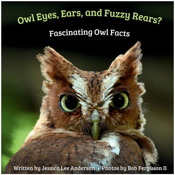 Owl Eyes, Ears, and Fluffy Rears?: Fascinating Owl Facts