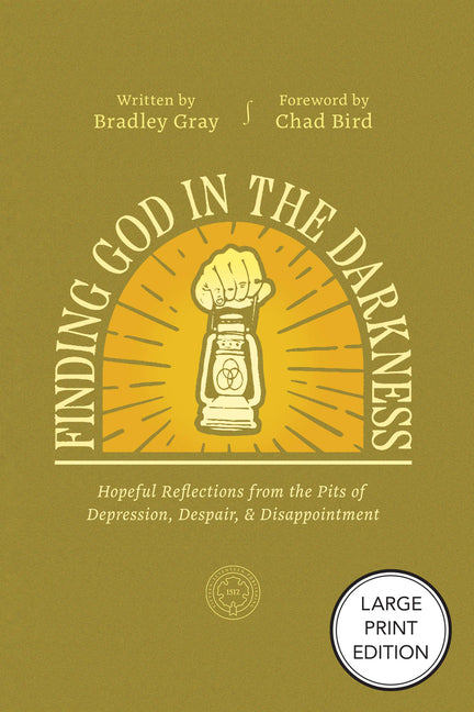 Finding God in the Darkness: Hopeful Reflections from the Pit of Depression, Despair, and Disappointment